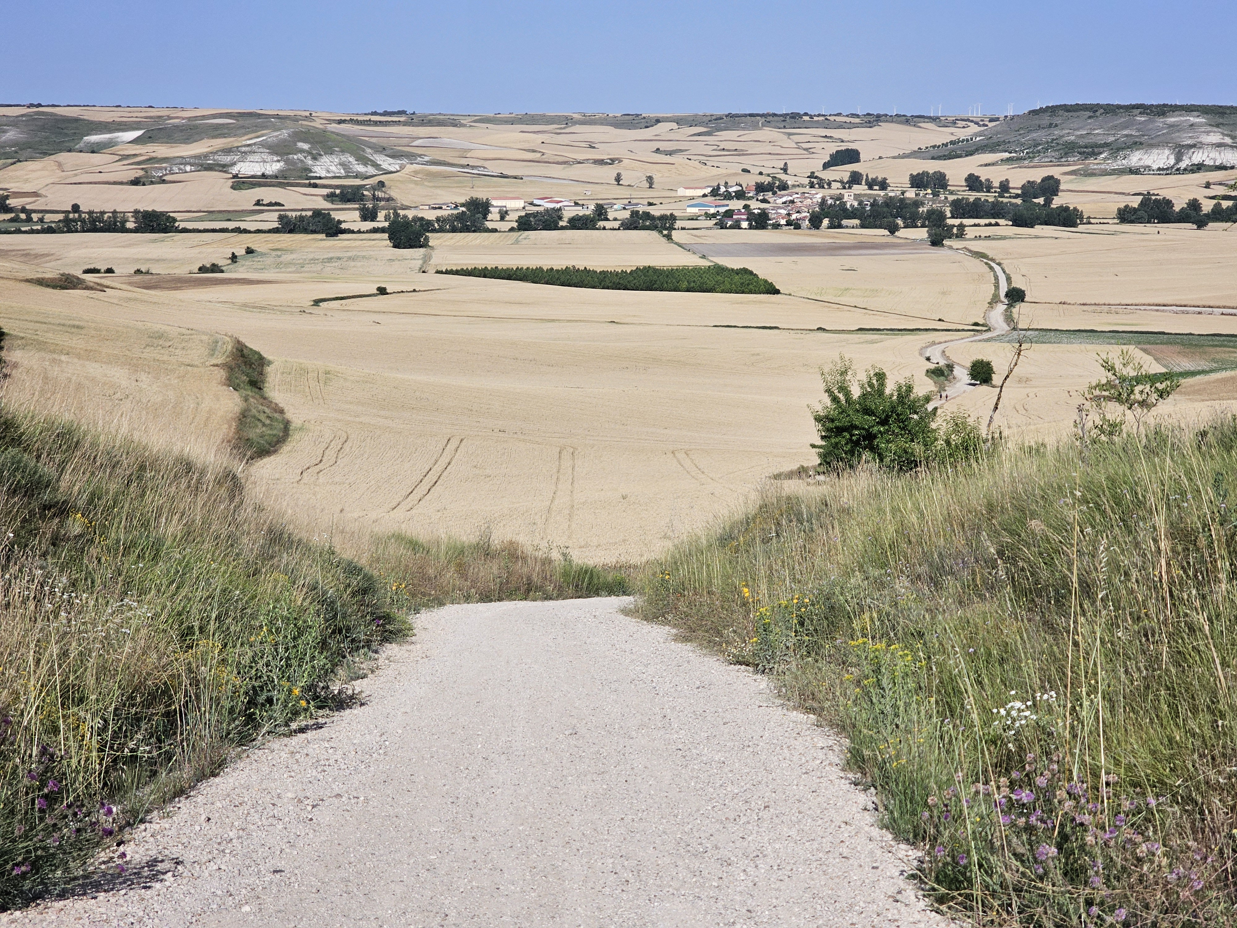 start of the Mesa, or central part, of Spain. Long, flat grasslands
